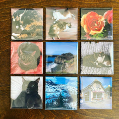 Personalized Custom Photo Magnets High Gloss Finish Photo Quality 2" x 2" Set of 9 - SarenaTealDesigns