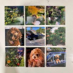 Personalized Custom Photo Magnets High Gloss Finish Photo Quality 2" x 2" Set of 9 - SarenaTealDesigns